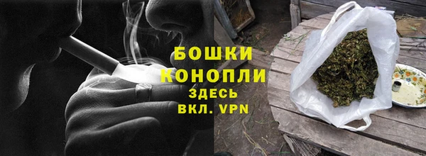 PSILOCYBIN Балабаново