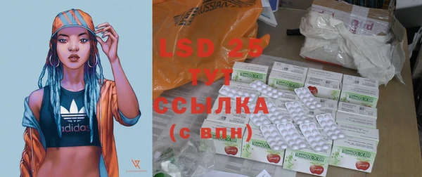 PSILOCYBIN Балабаново