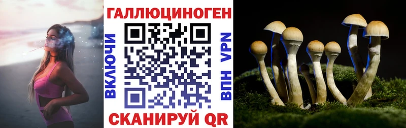 Псилоцибиновые грибы ЛСД  blacksprut зеркало  Будённовск 